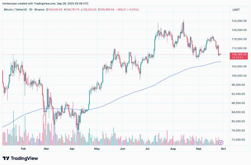 Galaxy Digital CEO预测：若美联储转向鸽派，比特币或飙升至20万美元