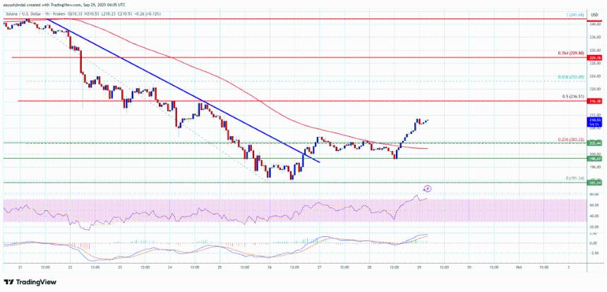 Solana（SOL）反弹迹象显现，但空头或卷土重来？