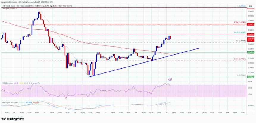  XRP 价格试图复苏——尽管面临巨大障碍，市场能否继续走高？ 