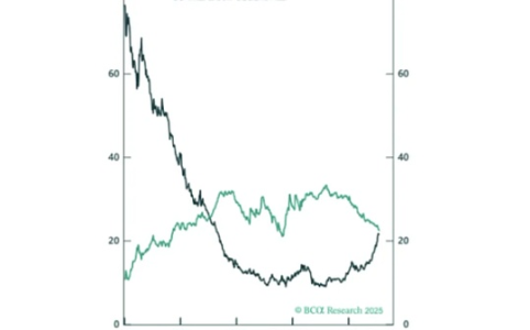 比特币波动加剧！2025年牛市或迎历史新高