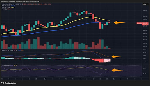 Solana价格走向关键节点：50日均线成决定性因素，目标价位锁定175美元或220美元