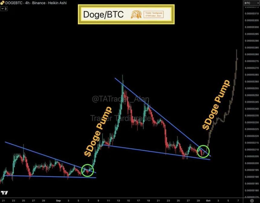 Uptober能否助推狗狗币涨至0.35美元？分析师观点