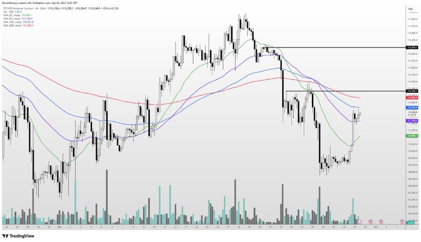 一张显示比特币价格走势的蜡烛图。图表上叠加了多条彩色技术指标线，包括红色、蓝色和黑色线条，同时水平线标记了 113,000 美元和 116,000 美元的价格水平。底部的柱状图显示了交易活动，绿色和红色条形分别代表交易量变化。