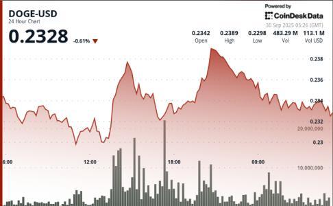 DOGE冲高回落：0.24美元阻力成关键，鲸鱼抛售影响走势