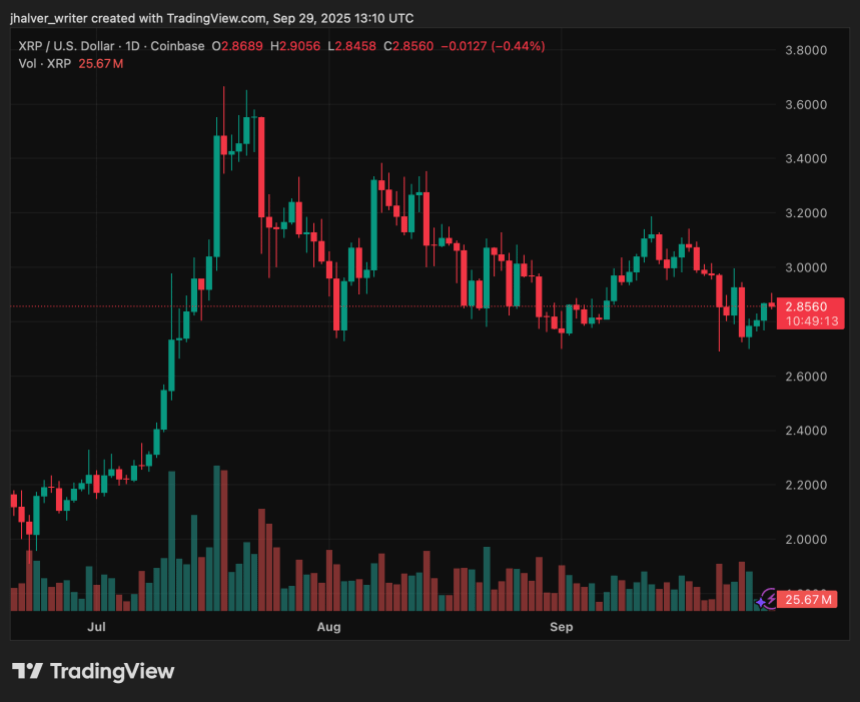  随着机构增持和 ETF 申请引发争议，XRP 获得关键支撑 