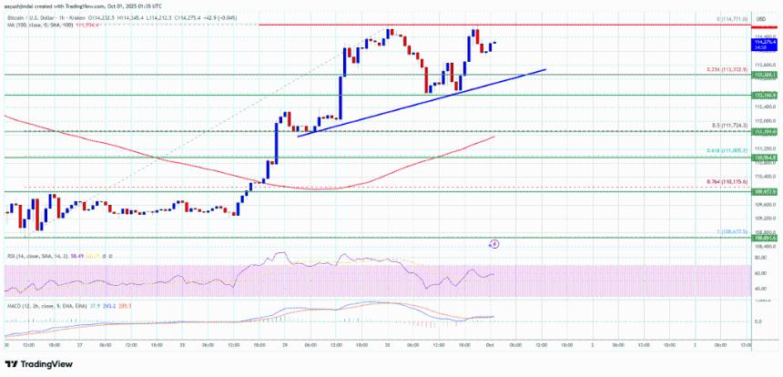  比特币价格目标上行突破——多头能否推动价格突破关键水平？ 