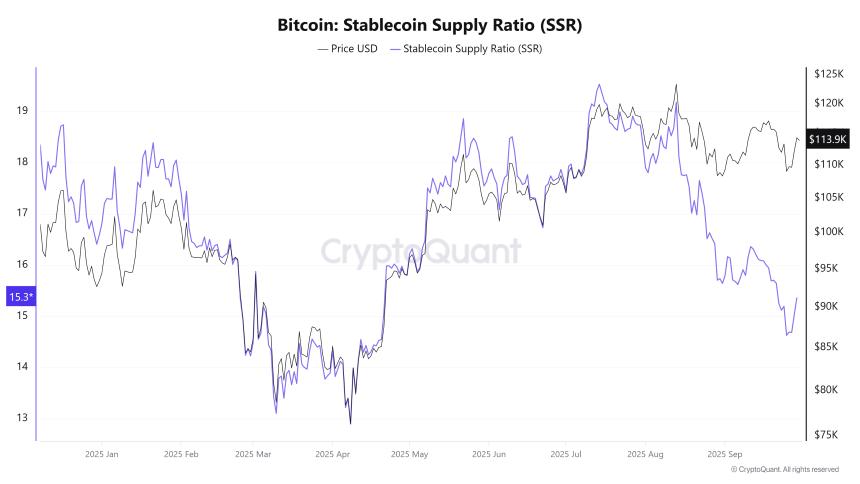 分析师认为比特币已经触底