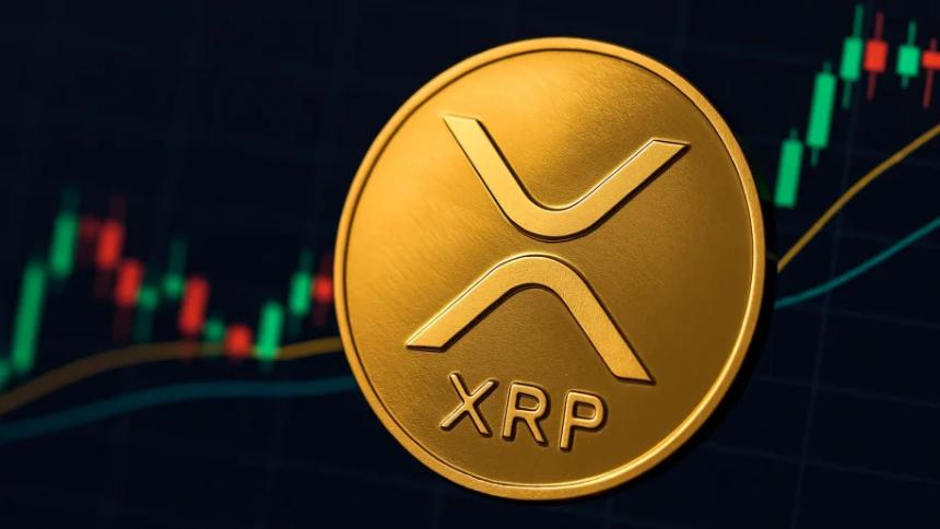 XRP动态：新势头点燃市场看涨情绪