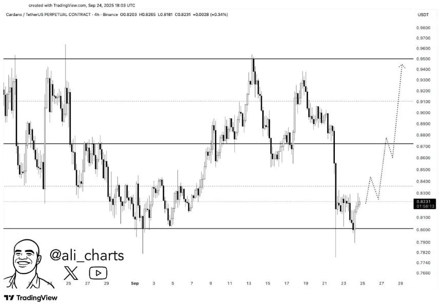 Cardano价格预测:Remittix引发全球关注,或成市场新焦点