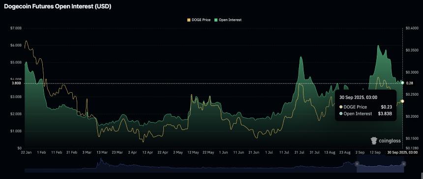 狗狗币价格预测：十月前或将迎来深度调整