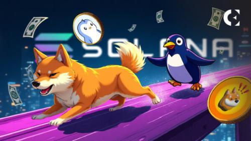 比特币突破116000美元，模因币迎上涨浪潮