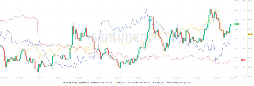 狗狗主题表情包币 DOGE 和 SHIB 延续涨势