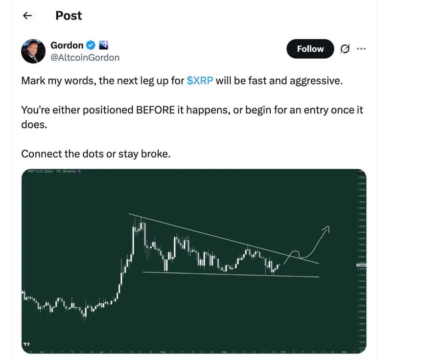 XRP与Solana资金流入推动市场增长