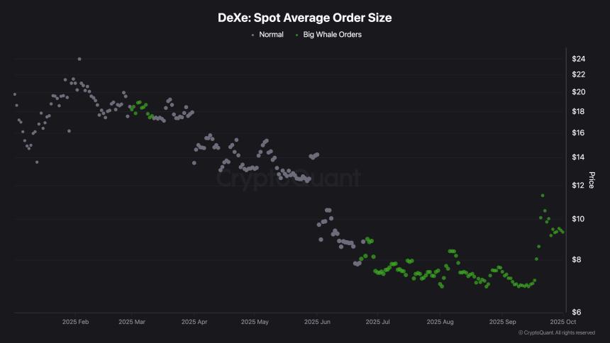  加密货币涨幅居前：Zcash 受灰度信托基金推动上涨，DeXe 和 MYX Finance 也纷纷跟进 