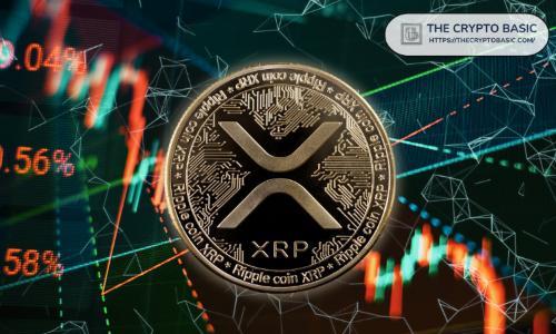 XRP投资者逢低买入：基于Raoul Pal预测的长期持有策略