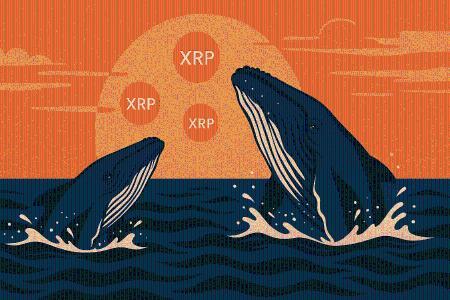 XRP价格逼近3.00美元关口 巨鲸抢购引发市场关注