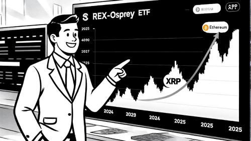 XRP复兴之路：链上激增、监管明朗与机构采用三重驱动