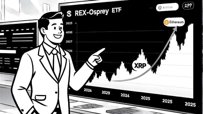 XRP的强劲势头：加密货币市场变革中的战略机遇