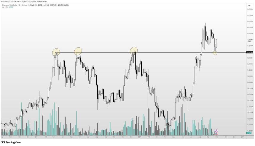  分析师称，几天内暴涨 174% 的百强山寨币是“强势币种”，并更新了对以太坊和 Plasma 的展望 