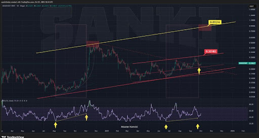 狗狗币在近期受挫后盘整，但 0.32 美元的重新测试似乎不可避免