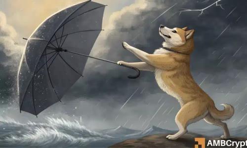 Memecoin过度饱和困局：为何多数代币难逃衰落命运？