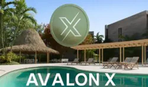 XRP持有者转向房地产支持代币AVLX，市场趋势凸显实用价值