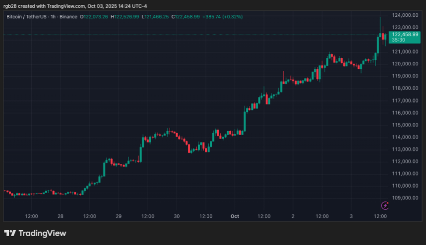 比特币即将迎来新一轮价格上涨：分析师预测11月中旬将达到峰值