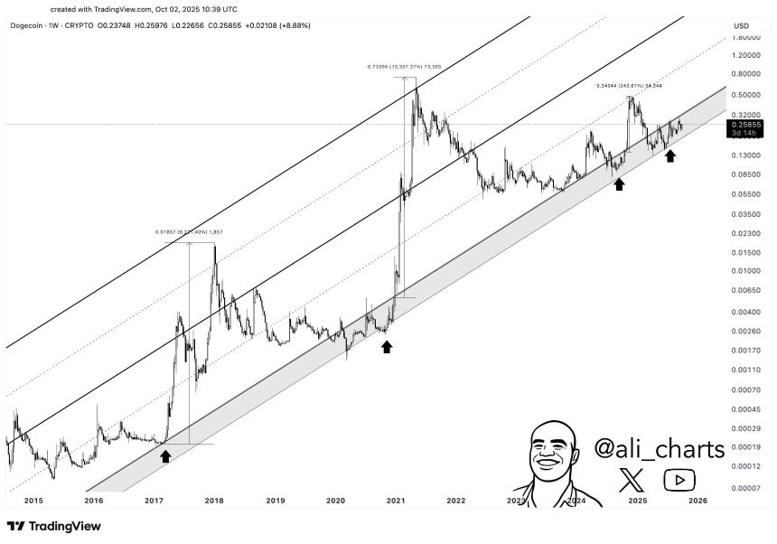 狗狗币即将迎来大突破？分析师呼吁“保持警惕”