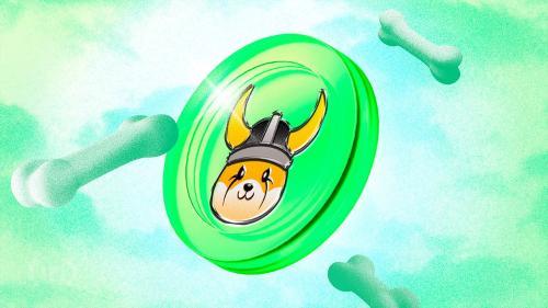 FLOKI欧洲首推ETP引爆市场，价格飙升16.6%突破0.0001美元