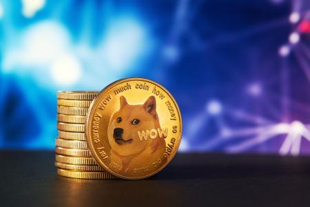DOGE突破0.25美元关口在即 技术面与基本面双轮驱动上涨