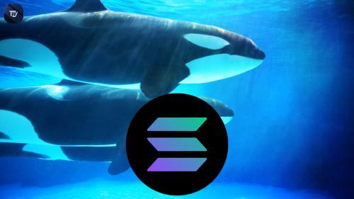 Crypto.com携手SOL Strategies扩展托管服务，Solana突破在即