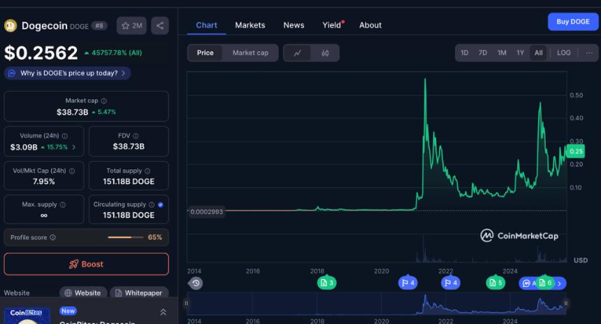 2026年前有望实现10倍回报的三大加密货币分析