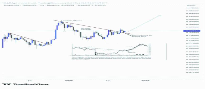 狗狗币面临熔断反弹：这种看涨势头将推动价格上涨至 0.8 美元 ATH