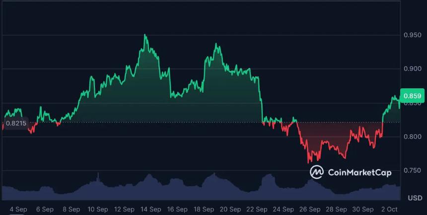 MAGACOIN FINANCE：高风险与高回报并存