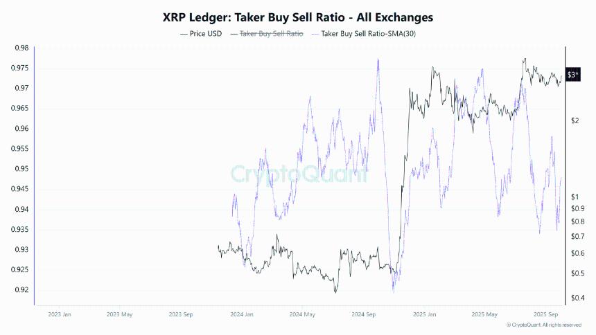 XRP链上活动显示抛售信号：鲸鱼行为引发市场担忧