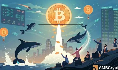 比特币流入量创5.4k BTC新低，鲸鱼增持推动价格逼近历史高点