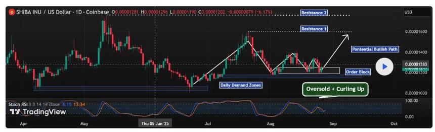 柴犬价格预测：SHIB 如何突破 0.00004 美元大关？