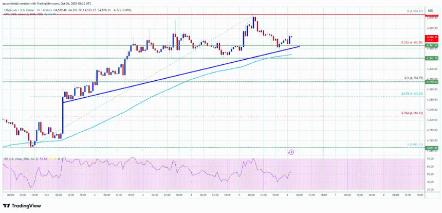 以太坊价格面临暂停——多头会利用这次下跌来推动下一轮反弹吗？