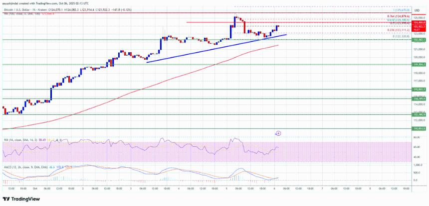 比特币在反弹后趋于稳定——另一次强劲突破即将到来？