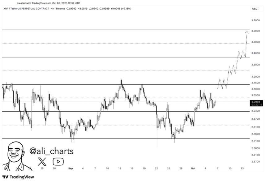 XRP零售FUD情绪创半年新高，巨鲸增持或预示价格突破在即