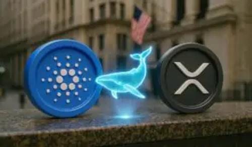 MAGACOIN FINANCE预售破1550万 看涨信号频现