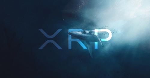 5500万XRP巨量转账入Ripple钱包 市场关注其背后意图