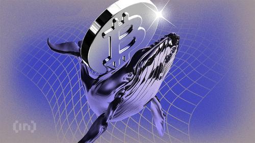 比特币创历史新高，MicroStrategy却暂停购买引发市场担忧