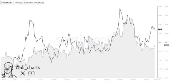 狗狗币技术形态显现：有望挑战2024年12月历史高位