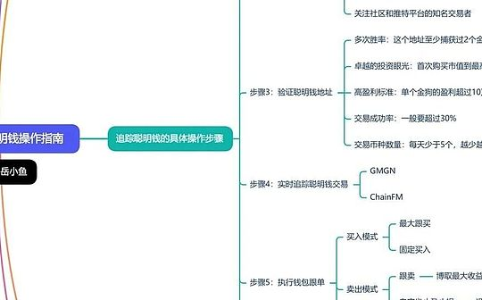 追踪聪明钱跟单Meme币：高效策略与实操指南