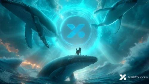 XRP Tundra预售85%售罄 柴犬鲸鱼入场引领价值投资新风向