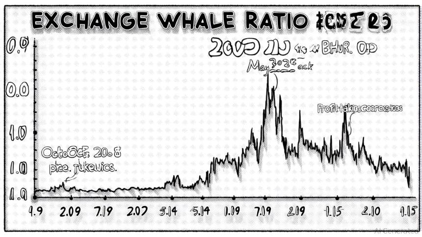 鲸鱼行为:揭秘加密货币市场的关键领先指标