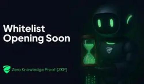 ZKP预售引爆2025市场：零知识证明如何重塑机构信任