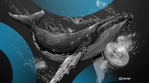 比特币机构化加速：ETF资金稳定流入，市场趋势转向长期配置