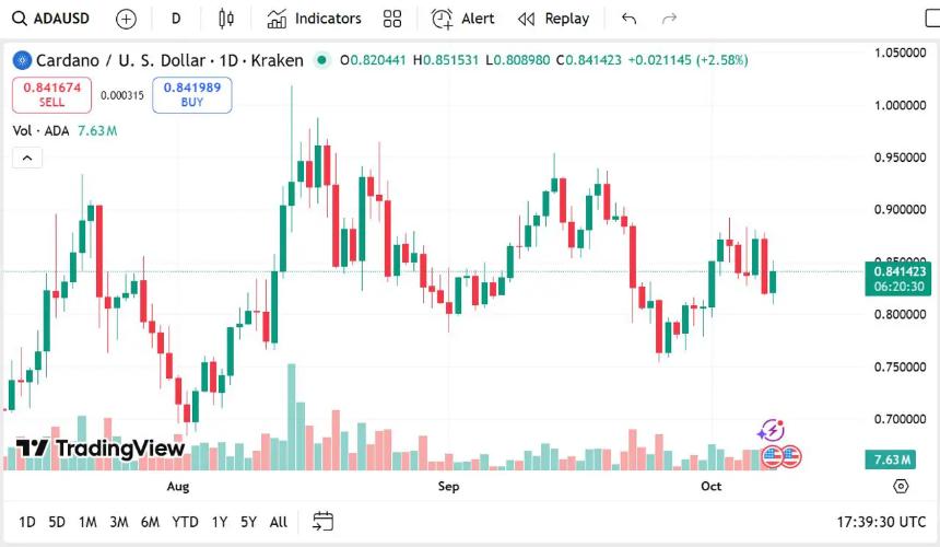 Remittix 引领加密货币新浪潮，超越 Cardano 成为机构投资者关注焦点